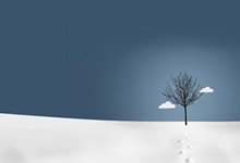 法國法令2019-1007協(xié)調(diào)與某些非食品產(chǎn)品安全有關(guān)的監(jiān)管規(guī)定