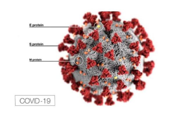 COVID-19對歐盟MDR，SCIP廢物框架指令的影響